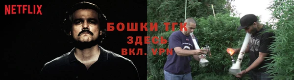 гидропоника Бородино