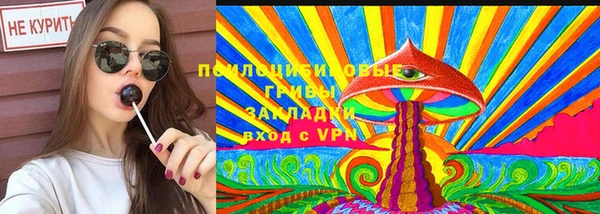 гидропоника Бородино