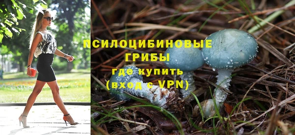 крисы Бугульма