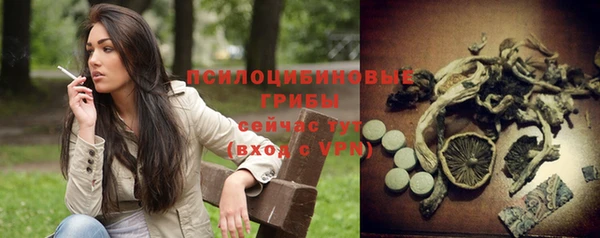 гидропоника Бородино