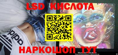 прущие грибы Мариинск