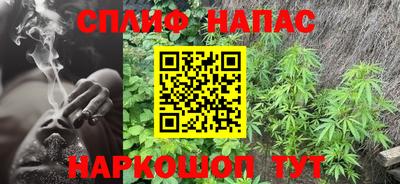 прущие грибы Мариинск