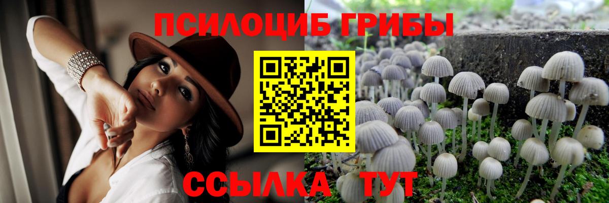 Галлюциногенные грибы GOLDEN TEACHER Выборг